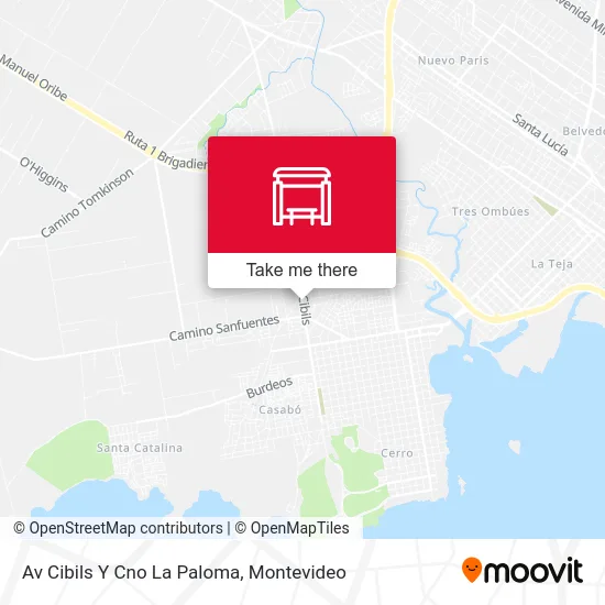Av Cibils Y Cno La Paloma map