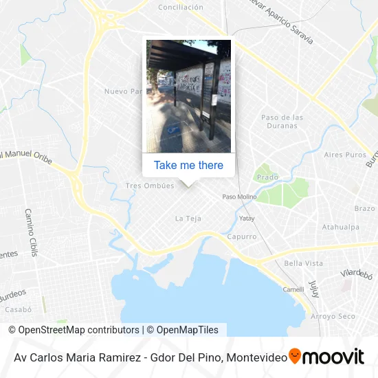 Av Carlos Maria Ramirez - Gdor Del Pino map
