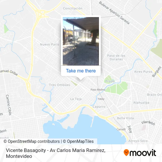 Mapa de Vicente Basagoity - Av Carlos Maria Ramirez