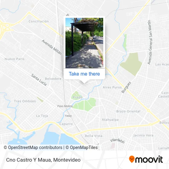 Cno Castro Y Maua map