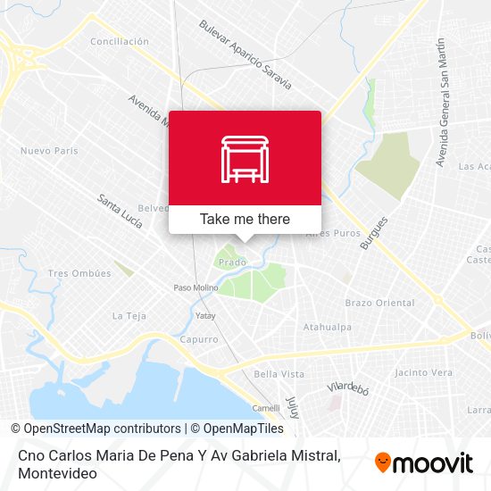 Cno Carlos Maria De Pena Y Av Gabriela Mistral map