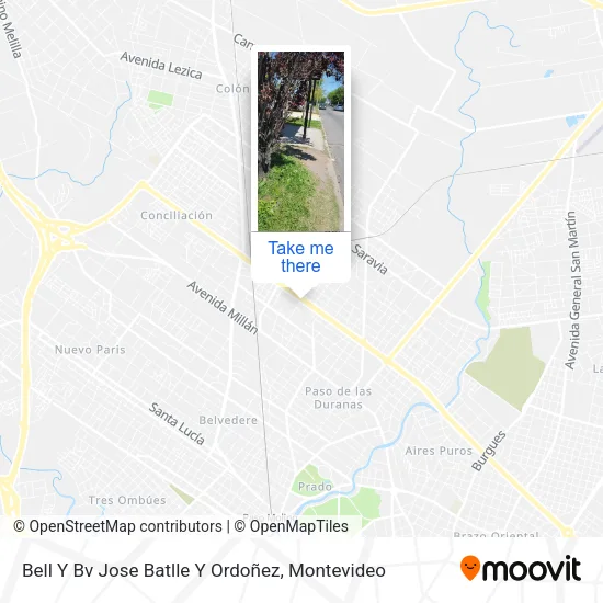 Mapa de Bell Y Bv Jose Batlle Y Ordoñez