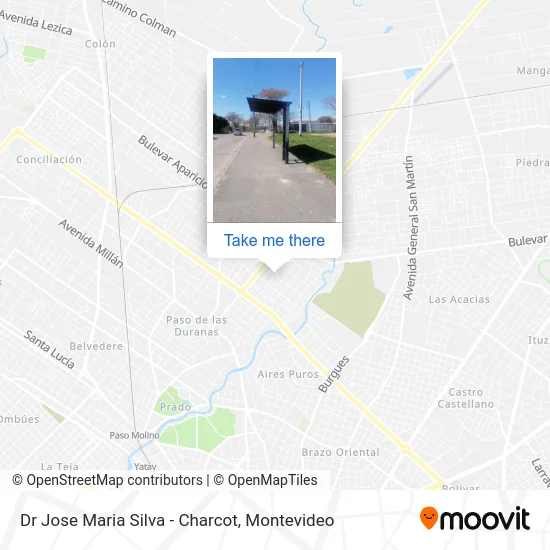 Dr Jose Maria Silva - Charcot map