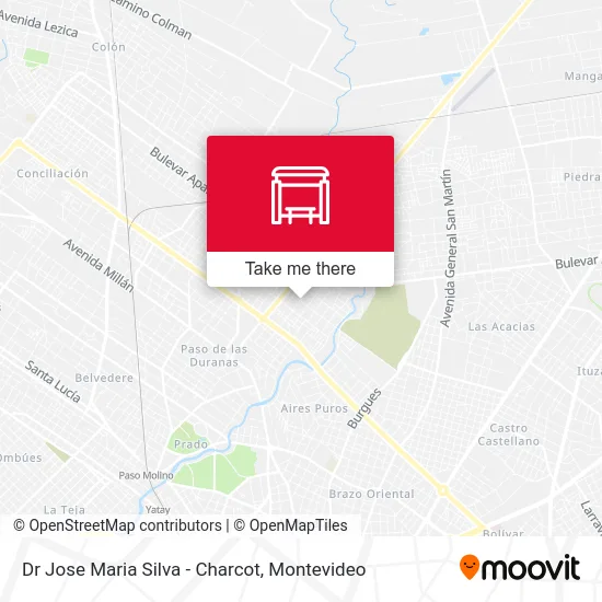 Dr Jose Maria Silva - Charcot map