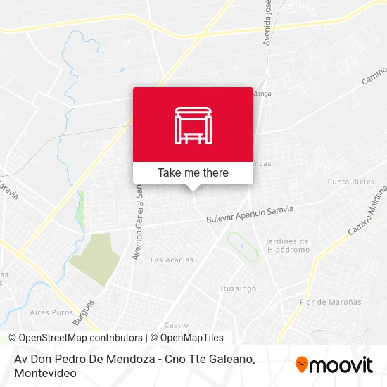 Av Don Pedro De Mendoza - Cno Tte Galeano map