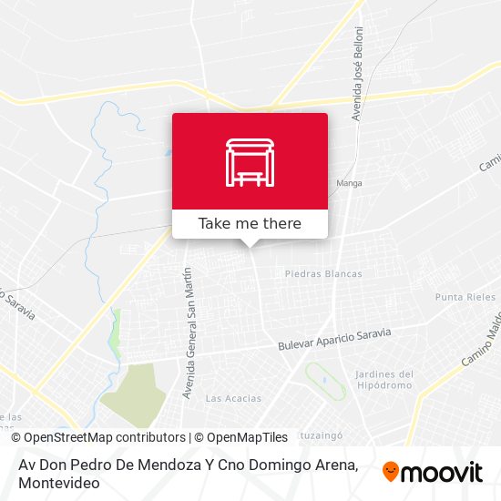 Av Don Pedro De Mendoza Y Cno Domingo Arena map