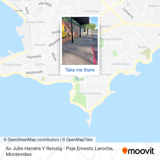Av Julio Herrera Y Reissig - Psje Ernesto Laroche map