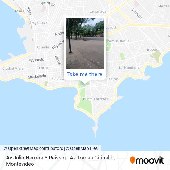 Av Julio Herrera Y Reissig - Av Tomas Giribaldi map