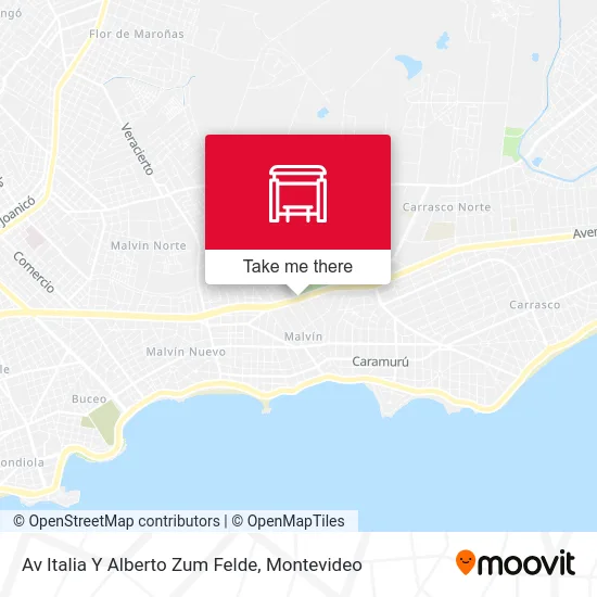 Av Italia Y Alberto Zum Felde map