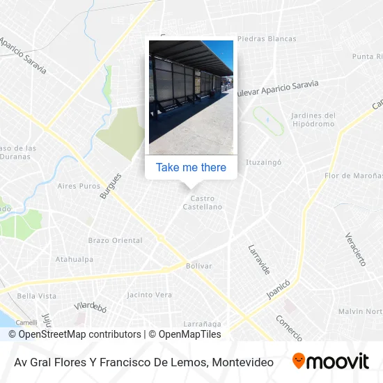 Av Gral Flores Y Francisco De Lemos map