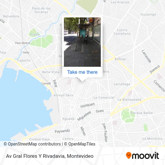 Av Gral Flores Y Rivadavia map