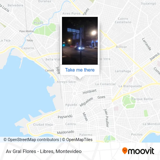 Mapa de Av Gral Flores - Libres
