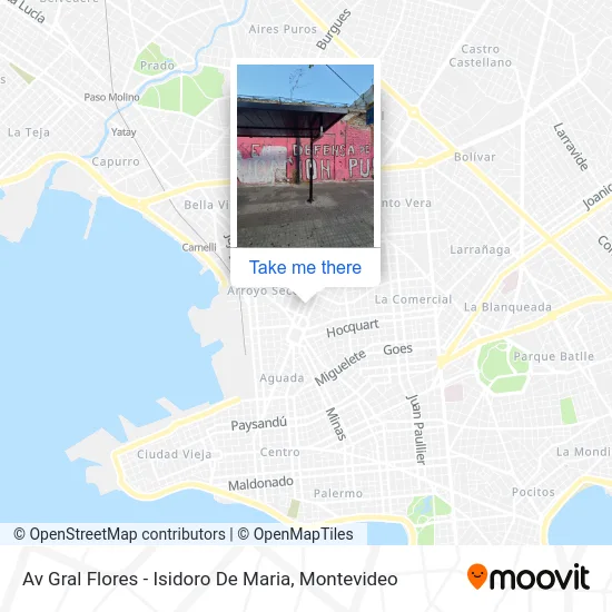 Av Gral Flores - Isidoro De Maria map