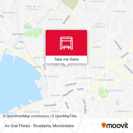Av Gral Flores - Rivadavia map