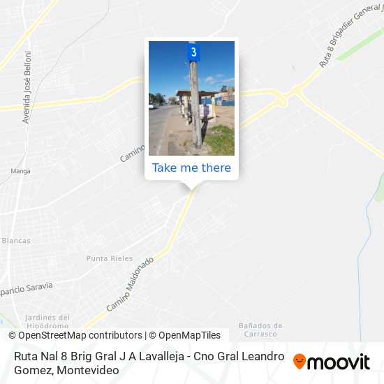 Ruta Nal 8 Brig Gral J A Lavalleja - Cno Gral Leandro Gomez map