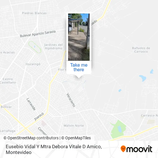 Eusebio Vidal Y Mtra Debora Vitale D Amico map