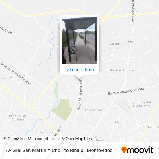 Av Gral San Martin Y Cno Tte Rinaldi map