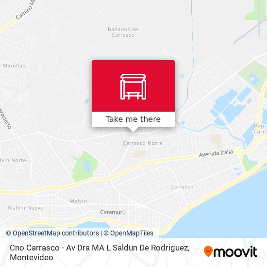 Cno Carrasco - Av Dra MA L Saldun De Rodriguez map