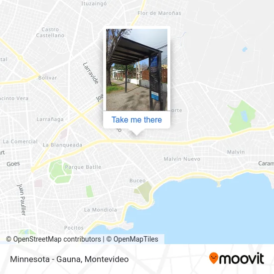 Minnesota - Gauna map