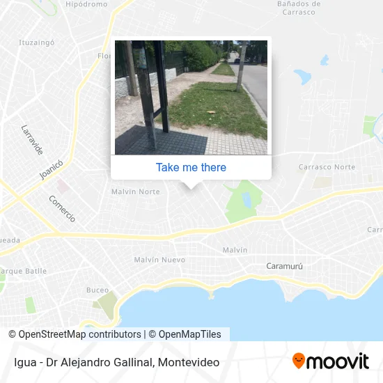 Igua - Dr Alejandro Gallinal map