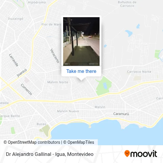 Dr Alejandro Gallinal - Igua map