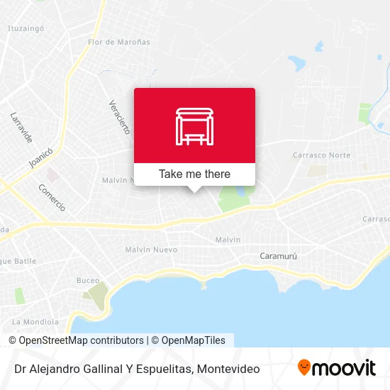 Dr Alejandro Gallinal Y Espuelitas map