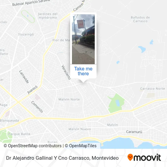 Mapa de Dr Alejandro Gallinal Y Cno Carrasco