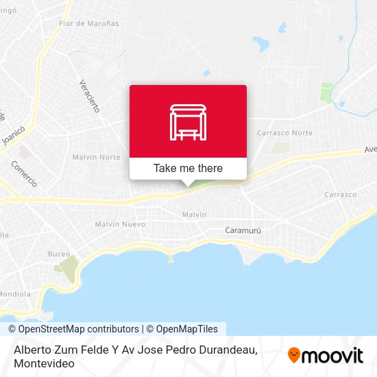 Mapa de Alberto Zum Felde Y Av Jose Pedro Durandeau