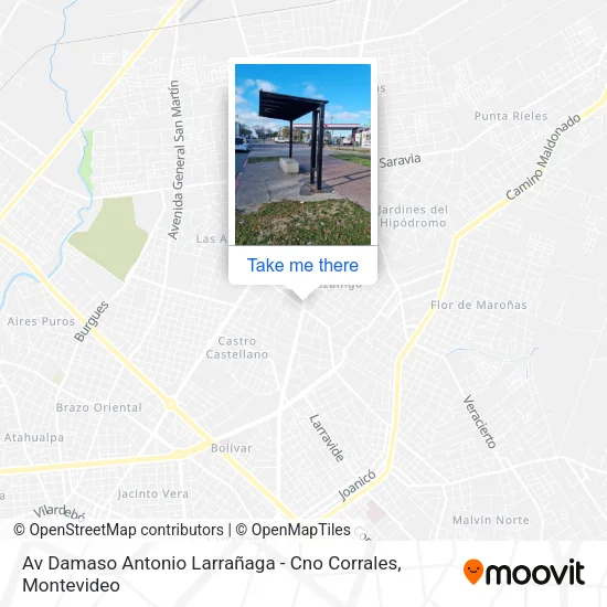 Av Damaso Antonio Larrañaga - Cno Corrales map