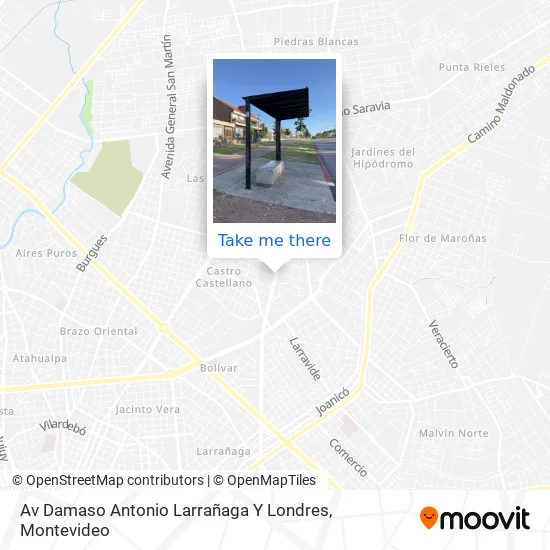 Av Damaso Antonio Larrañaga Y Londres map