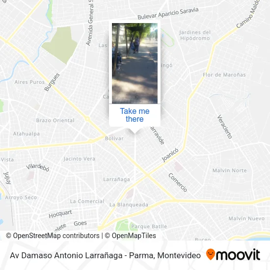 Av Damaso Antonio Larrañaga - Parma map