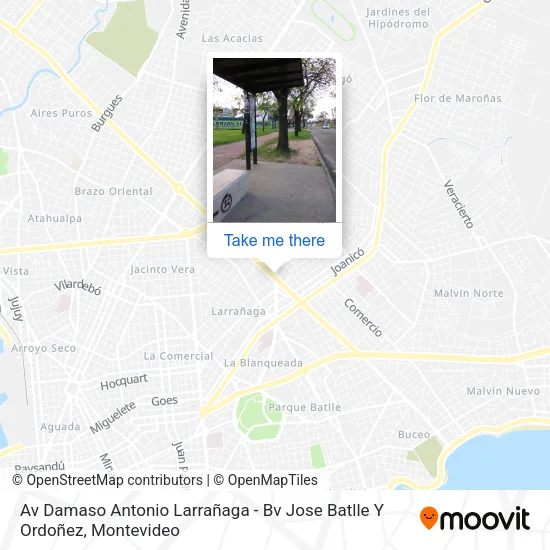 Av Damaso Antonio Larrañaga - Bv Jose Batlle Y Ordoñez map