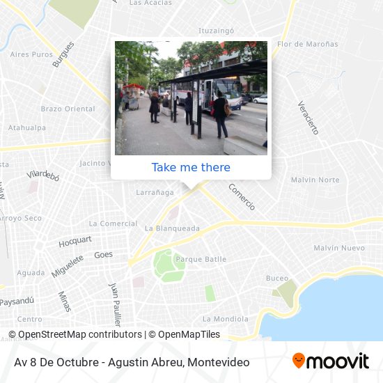 Av 8 De Octubre - Agustin Abreu map
