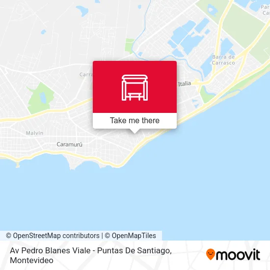 Av Pedro Blanes Viale - Puntas De Santiago map