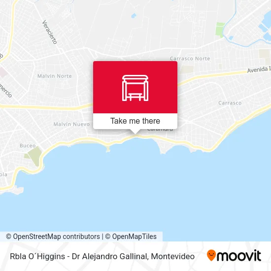 Mapa de Rbla O´Higgins - Dr Alejandro Gallinal