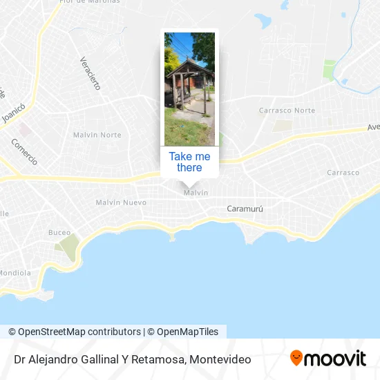 Mapa de Dr Alejandro Gallinal Y Retamosa