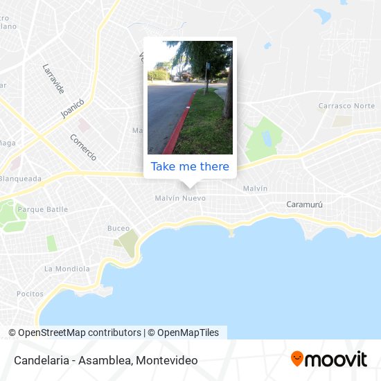 Candelaria - Asamblea map