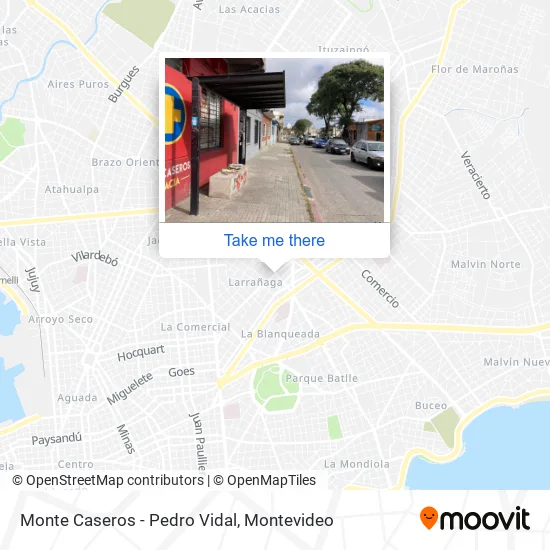 Mapa de Monte Caseros - Pedro Vidal
