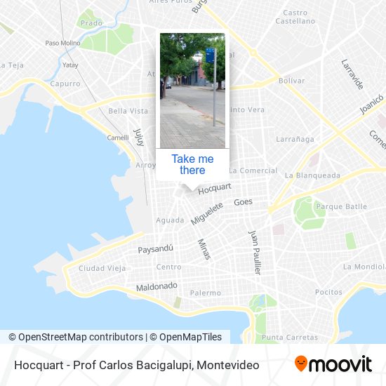 Hocquart - Prof Carlos Bacigalupi map