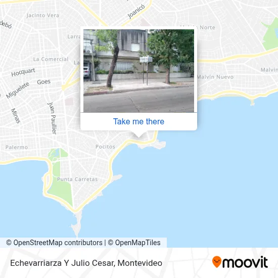 Echevarriarza Y Julio Cesar map