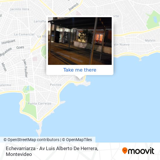 Echevarriarza - Av Luis Alberto De Herrera map