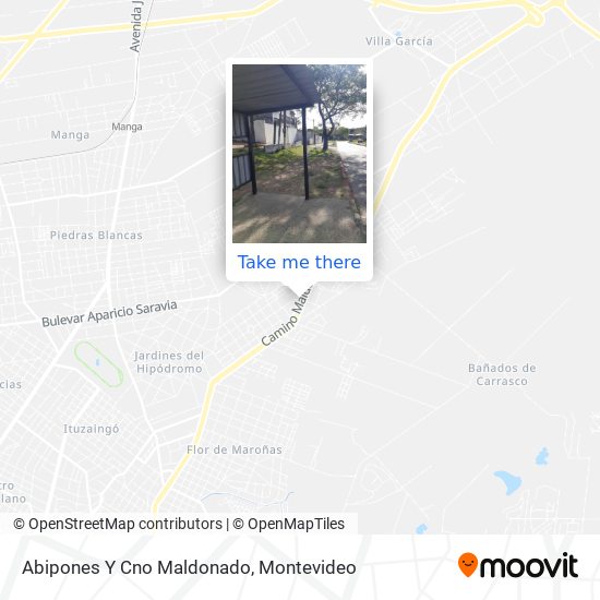 Abipones Y Cno Maldonado map