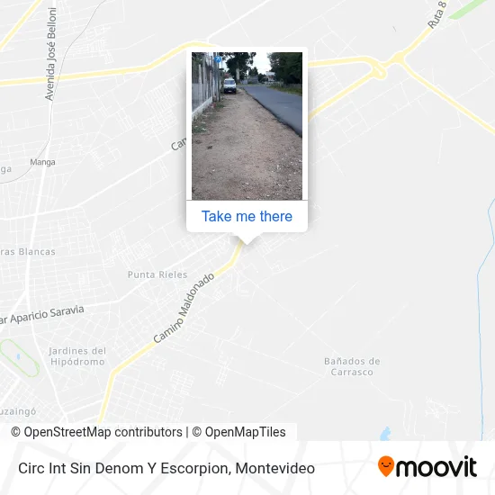 Circ Int Sin Denom Y Escorpion map