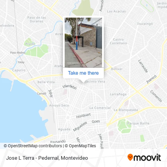 Jose L Terra - Pedernal map