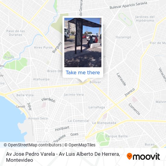 Av Jose Pedro Varela - Av Luis Alberto De Herrera map