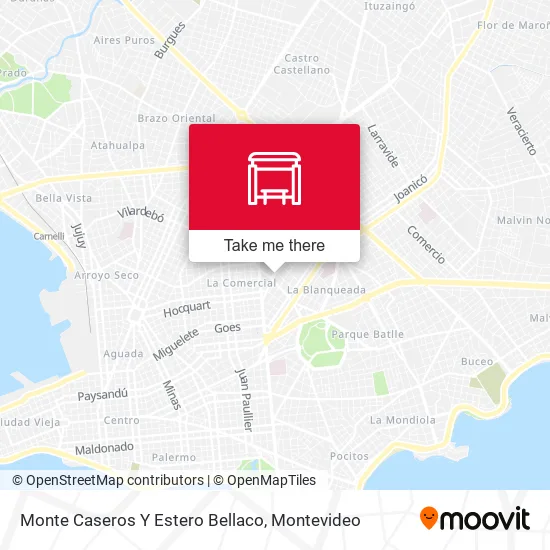 Monte Caseros Y Estero Bellaco map