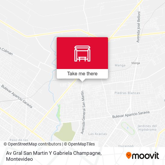 Av Gral San Martin Y Gabriela Champagne map