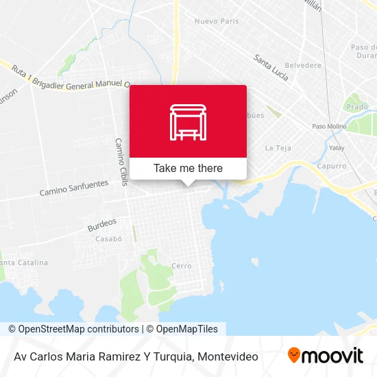 Av Carlos Maria Ramirez Y Turquia map