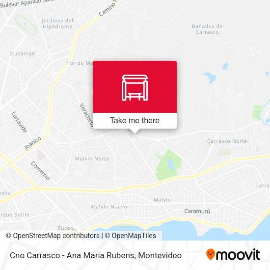 Mapa de Cno Carrasco - Ana Maria Rubens