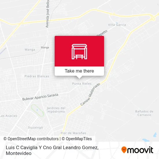 Luis C Caviglia Y Cno Gral Leandro Gomez map
